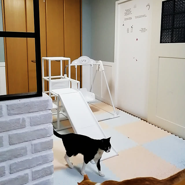 Kinanさんの実例写真