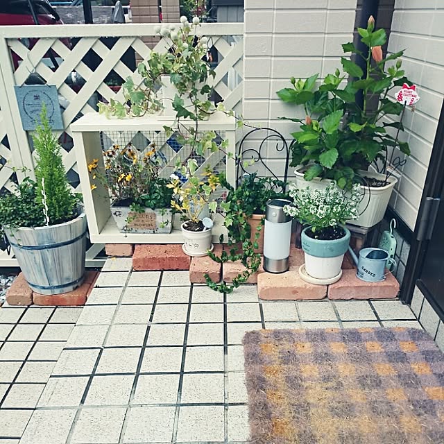 MYUさんの実例写真