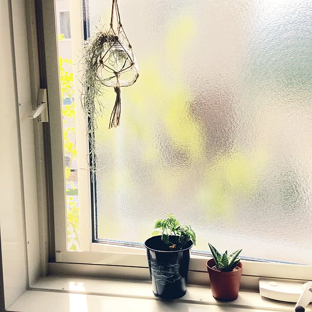 Nutsさんの実例写真