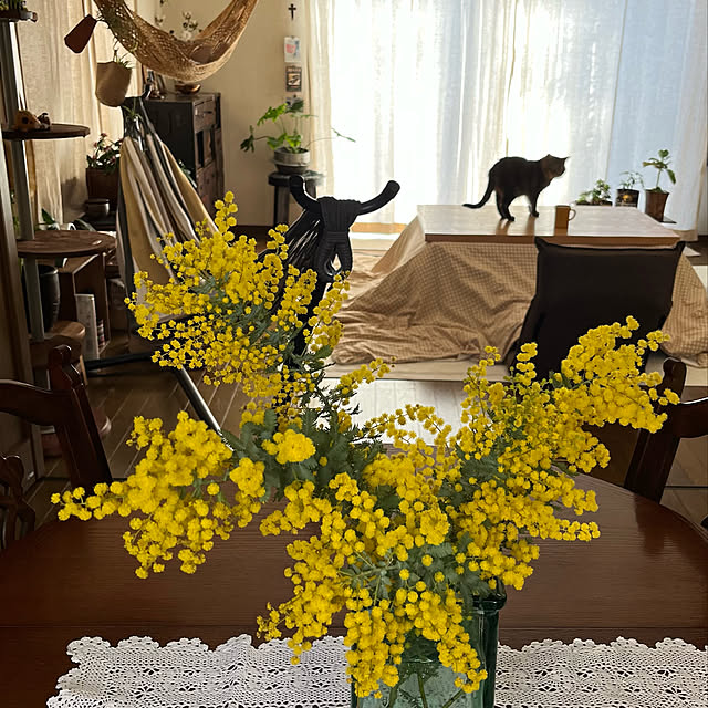 kuuさんの実例写真