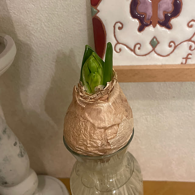 kuikoさんの部屋
