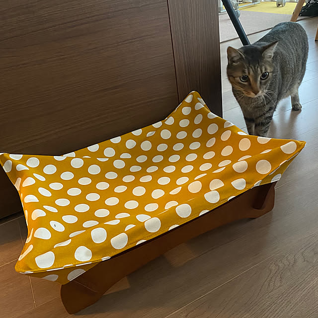mikomaruさんの実例写真