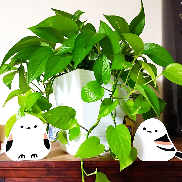 katさんの部屋
