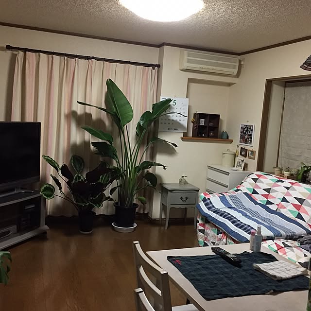 papiyon5678さんの実例写真