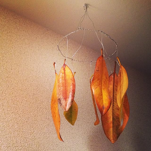 yuily_tさんの実例写真