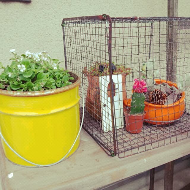 gurikoさんの実例写真
