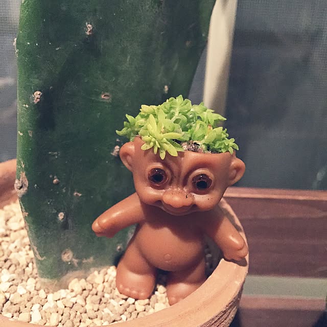 Junkoさんの実例写真