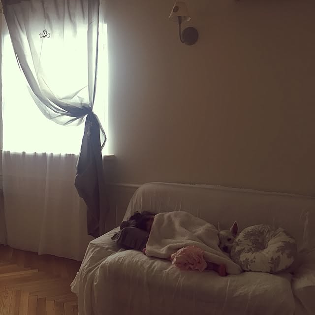 Rubanさんの実例写真