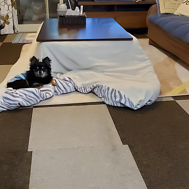 korokoroさんの実例写真