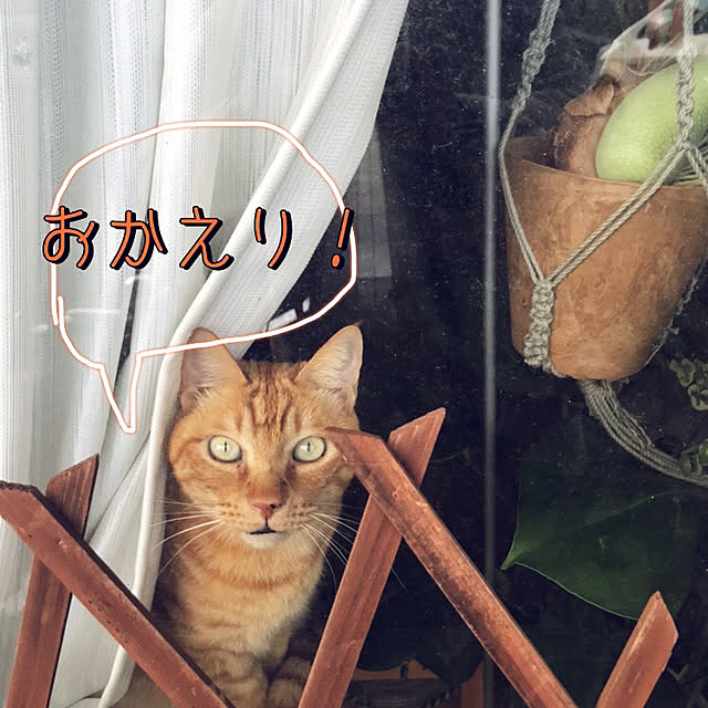 kou-kitiさんの実例写真