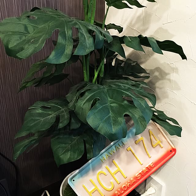 kazuさんの実例写真