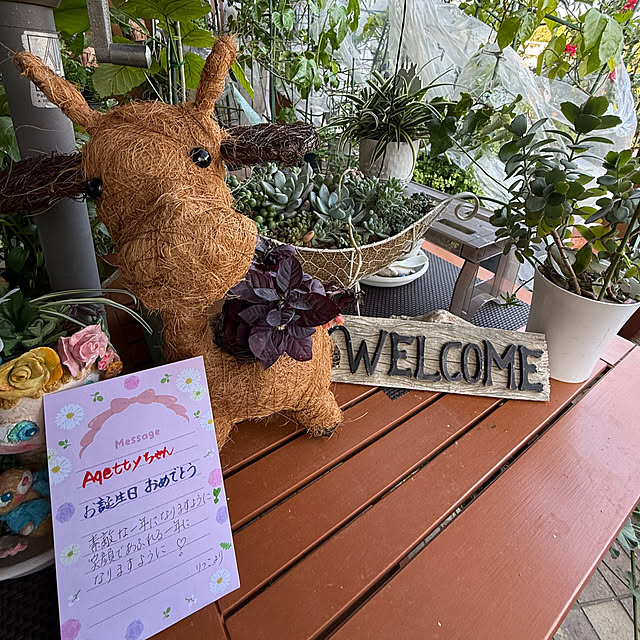 Aqettyさんの部屋