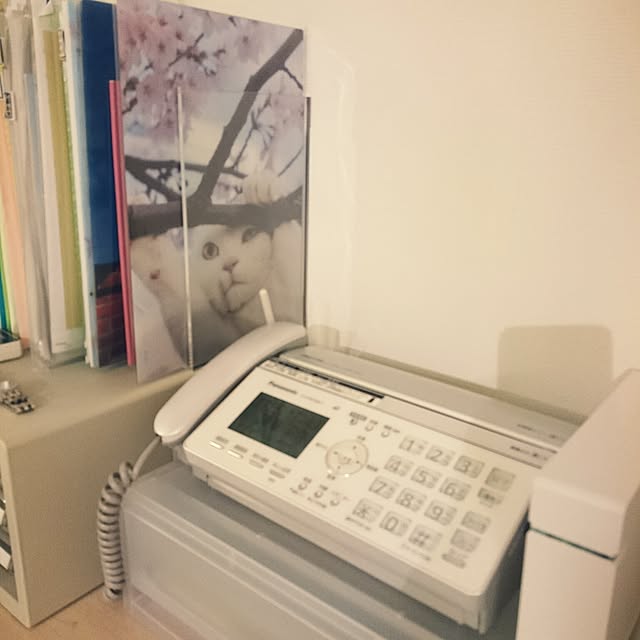 sakura41さんの実例写真