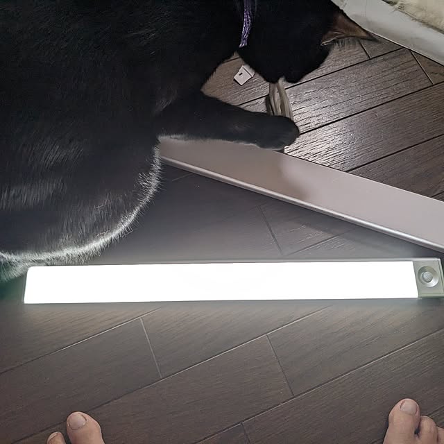asaさんの部屋
