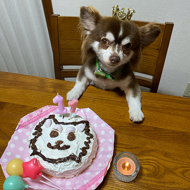 chIoeさんの実例写真