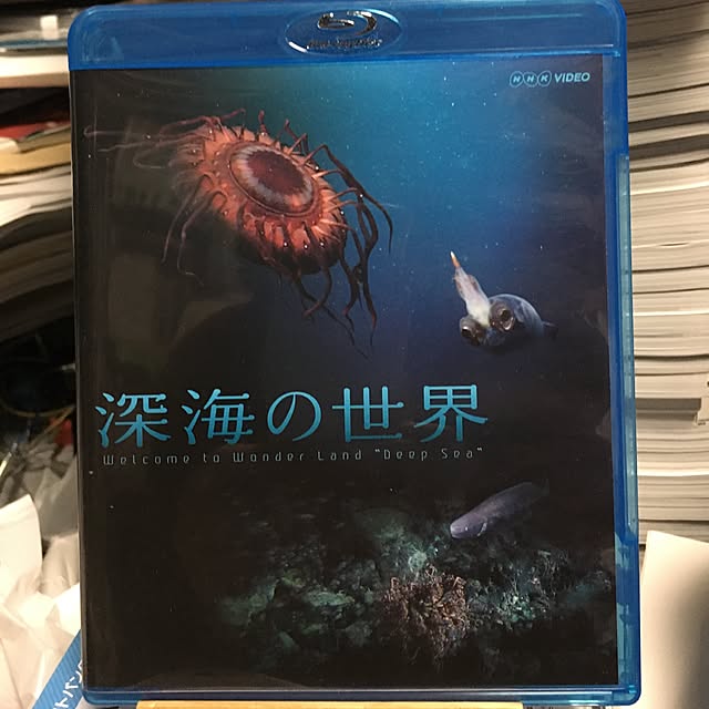 Shigeさんの実例写真