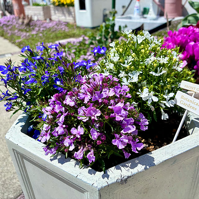 Junさんの実例写真