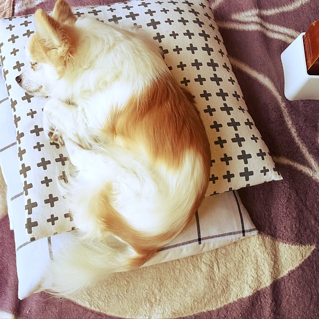 seroriさんの実例写真