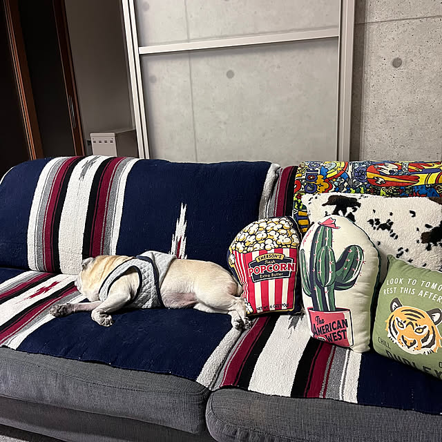 kellyさんの実例写真