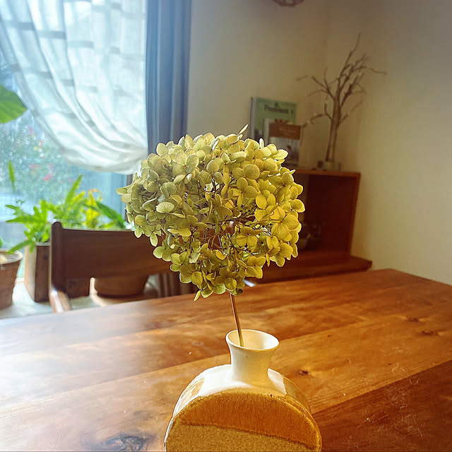 taakoさんの実例写真
