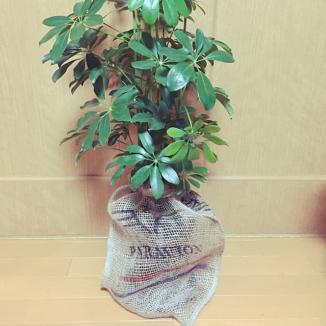 yokochinさんの実例写真