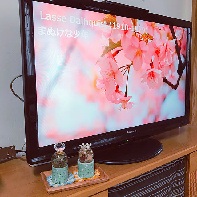 portulacaさんの実例写真