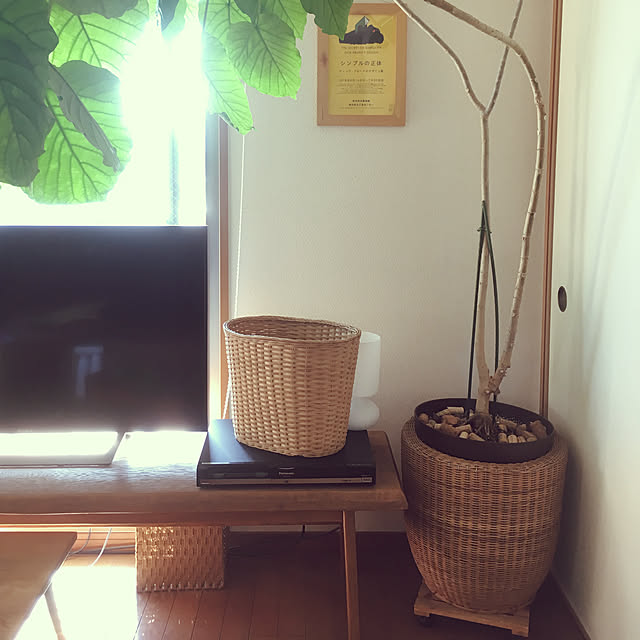 cottoncottonさんの実例写真