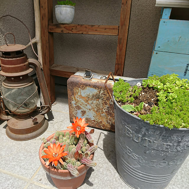 akooさんの実例写真