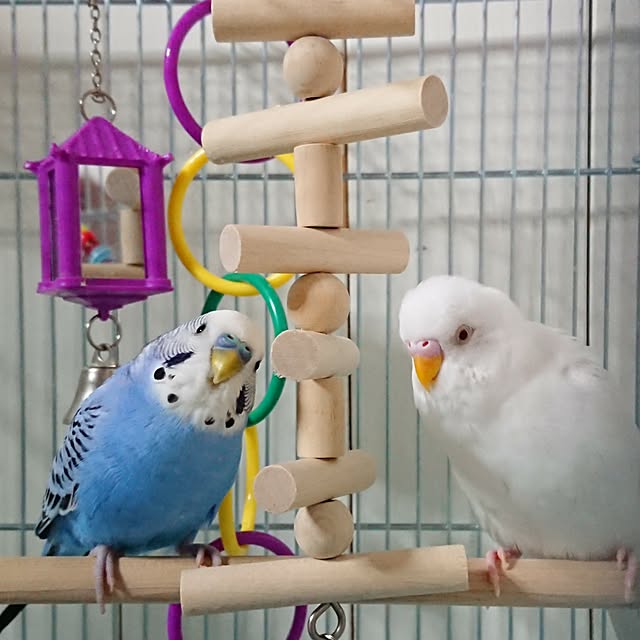 karinさんの実例写真