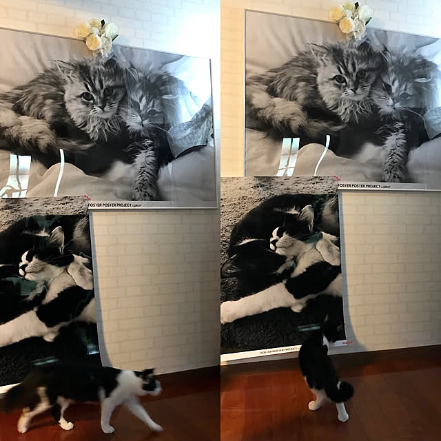butachanさんの実例写真