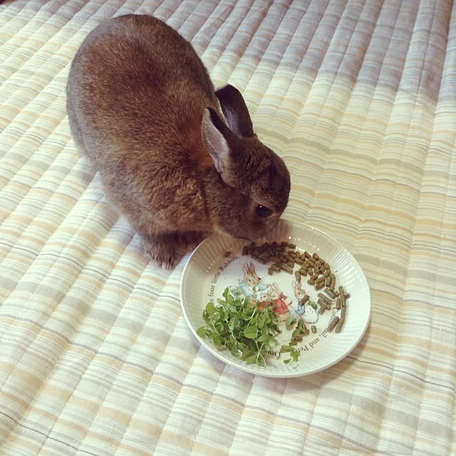 yuzu0223さんの実例写真