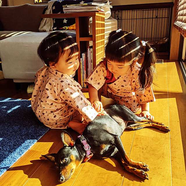shizuponさんの実例写真