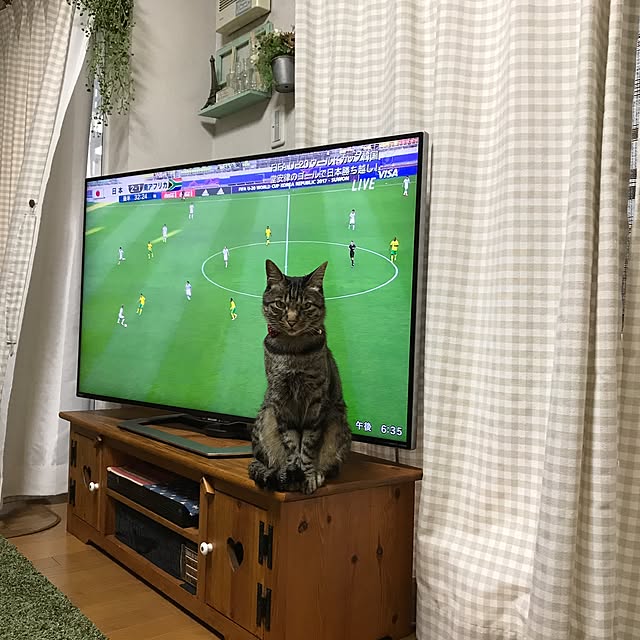 lalaさんの実例写真