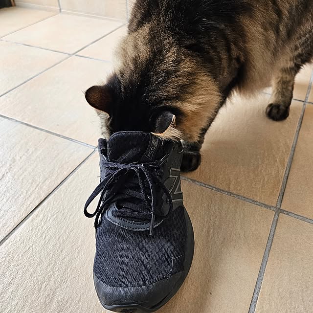 makoさんの部屋