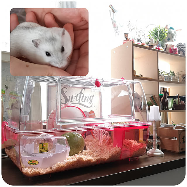kumingさんの実例写真