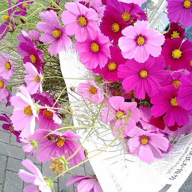 mairin318さんの実例写真