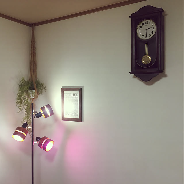 cocoさんの実例写真