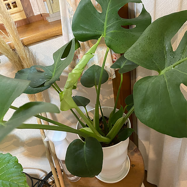 chIoeさんの部屋