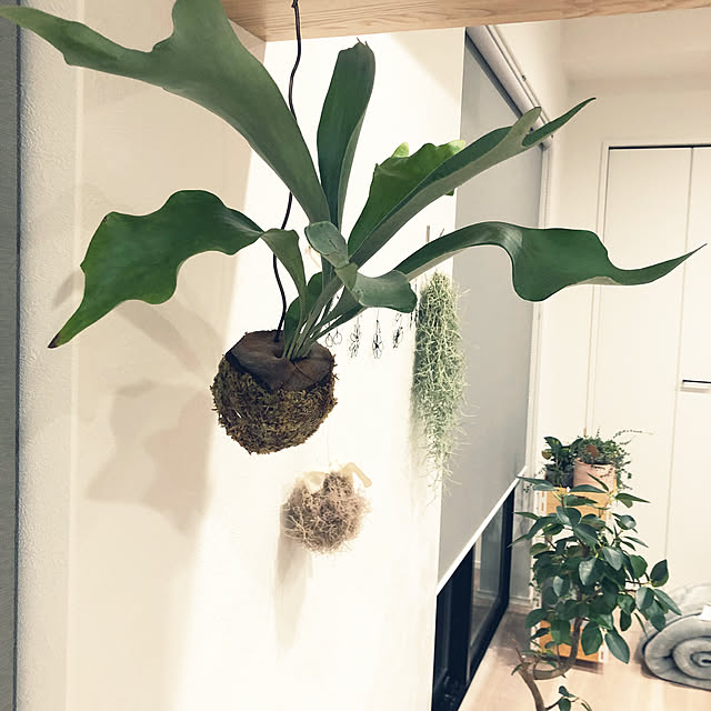 akkkkkoさんの部屋