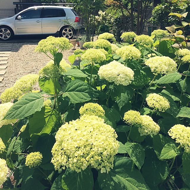 makimomongaさんの実例写真