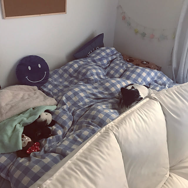 Ayaさんの実例写真