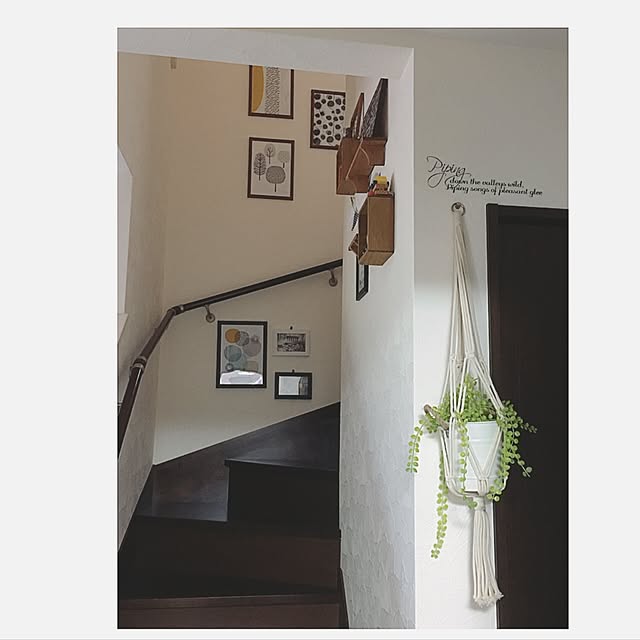 anko.hibuさんの実例写真