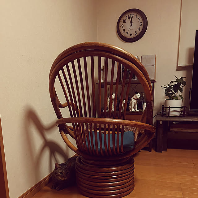 mikan161さんの実例写真