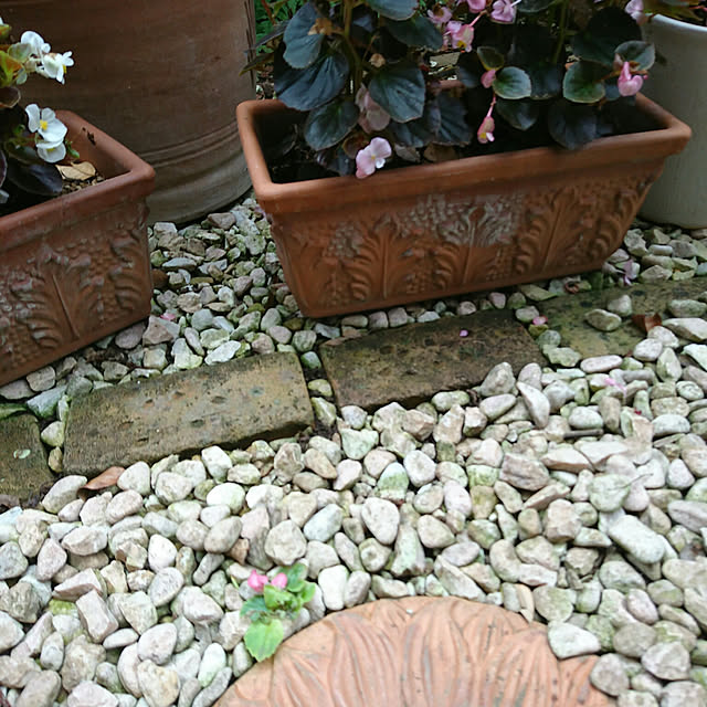 okyosan101さんの実例写真