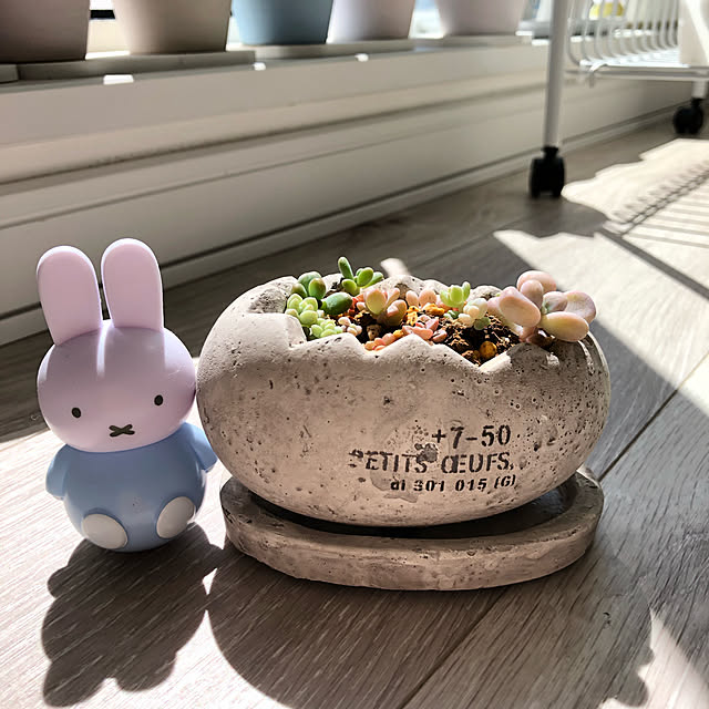 unichanさんの実例写真