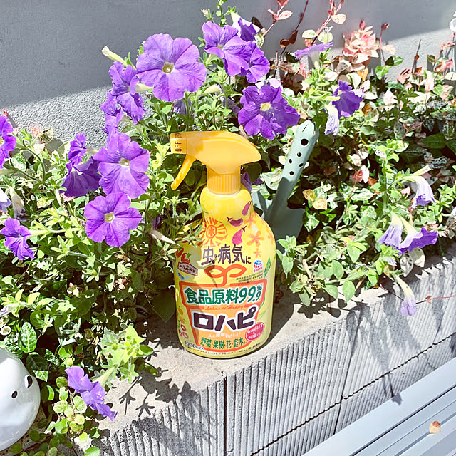 Minteaさんの部屋