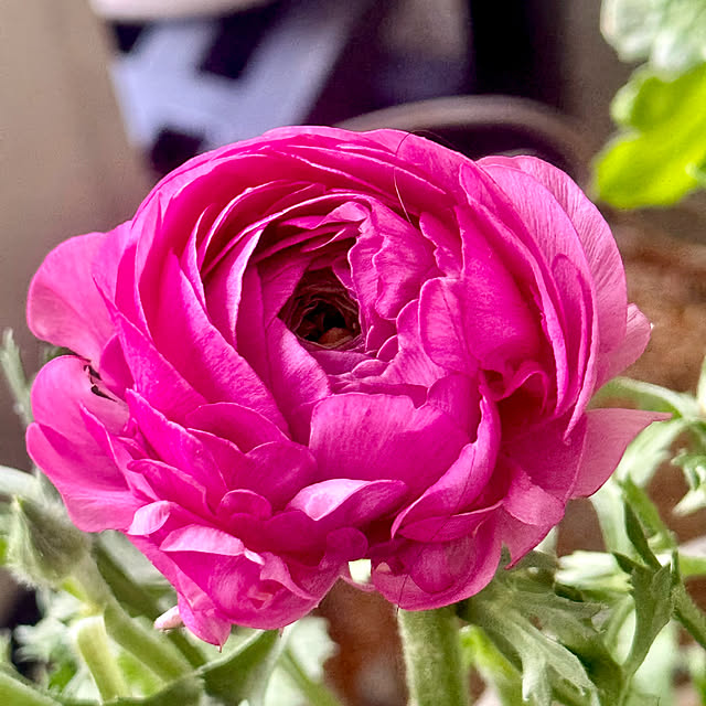 cocoさんの実例写真