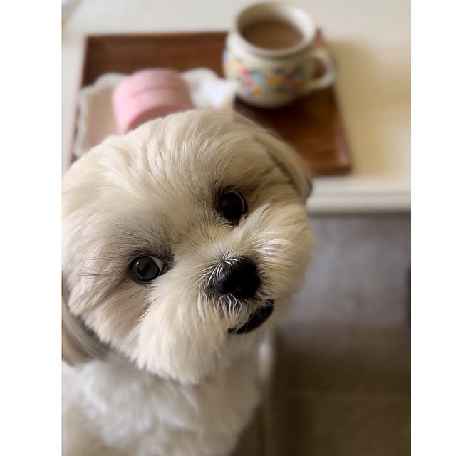 akさんの部屋