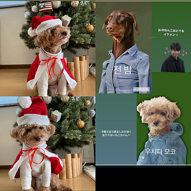 mococoさんの実例写真