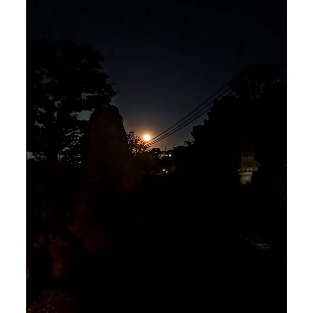 waniwaniさんの部屋